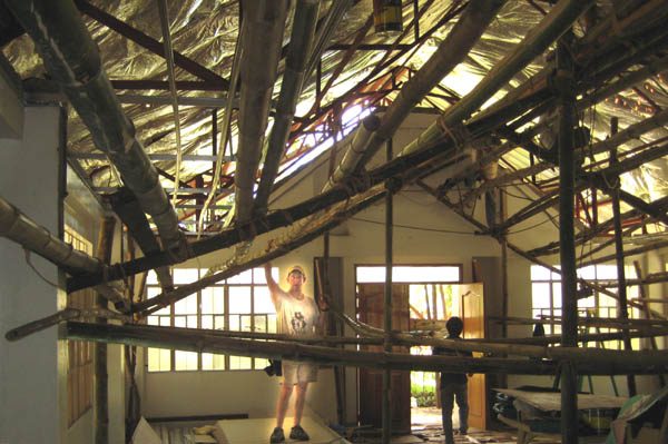 bamboo-maze.jpg
