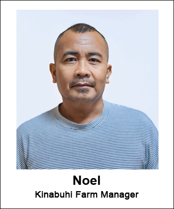 Noel l